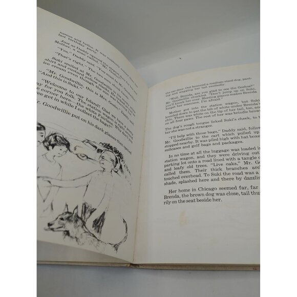 Suki And Magic Sand Dollar Joyce Blackburn 1969 Hardcover Rare Vintage Kids Book - Picture 8 of 16